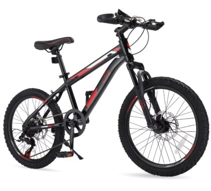 Ktaxon 20" Mountain Bike, 7 Speed Bike with Disc Brakes, Black
