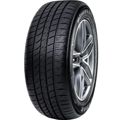 Radar Dimax AS-8 All Season 245/55R19 107V XL Passenger Tire